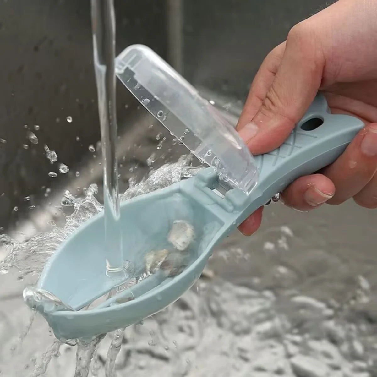 Fish Scales Grater Scraper