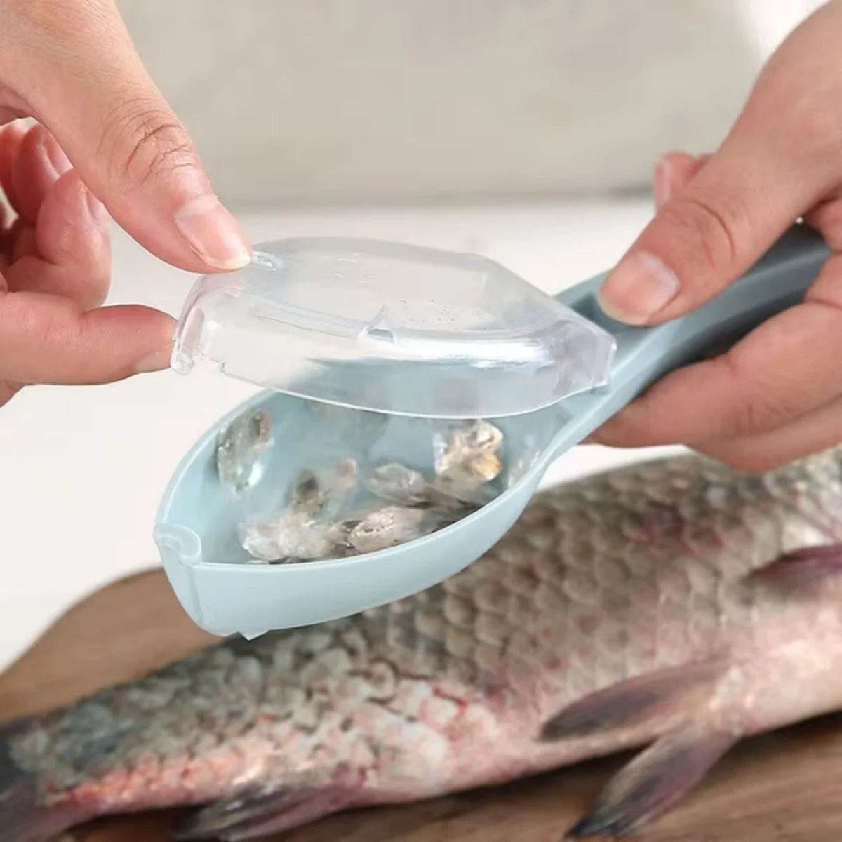 Fish Scales Grater Scraper