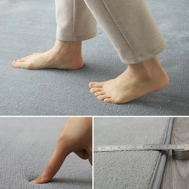 Modern Coral Velvet Carpet