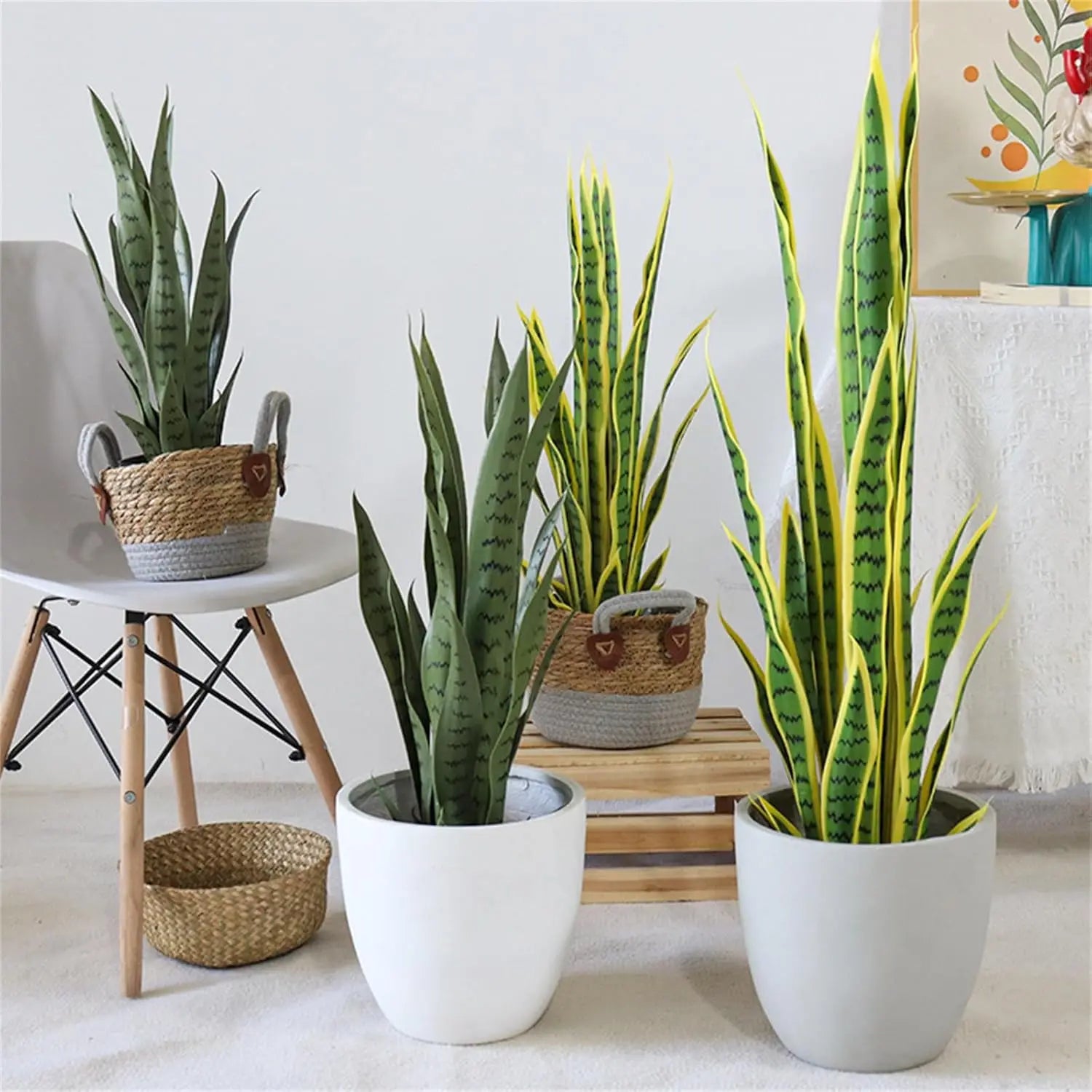 Artificial Snake Plant – 35.4” Tall in Pot