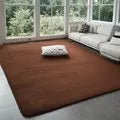 Modern Coral Velvet Carpet