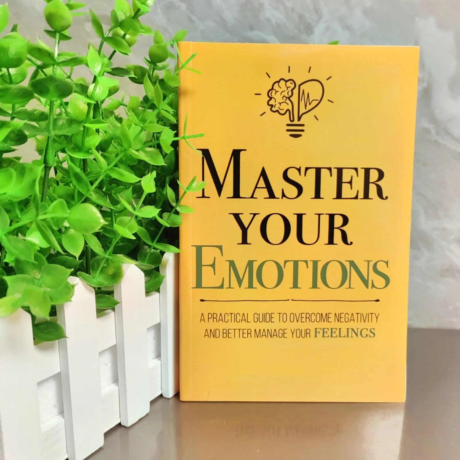 Master Your Emotions - Inspirational Book